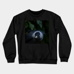 what are you looking at? Crewneck Sweatshirt
